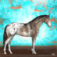 Horse Color:White Spotted Liver Red Dun Appaloosa Brindle 