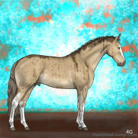 Horse Color:White Spotted Chocolate Palomino Dun Sabino Brindle 