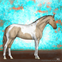 Horse Color:Chocolate Palomino Roan Dun Tobiano 