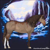 Horse Color:Liver Red Dun 