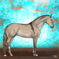 Horse Color:Liver Red Dun Roan 