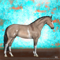 Horse Color:White Spotted Bay Roan Dun 