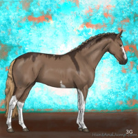 Horse Color:White Spotted Liver Red Dun Tobiano 