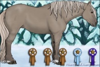 Horse Color:Silver Grullo