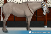 Horse Color:Silver Grullo 