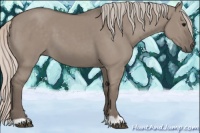 Horse Color:Silver Grullo 