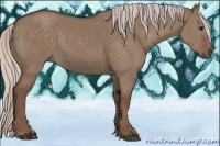 Horse Color:Silver Grullo 