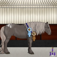 Horse Color:Silver Black Appaloosa 