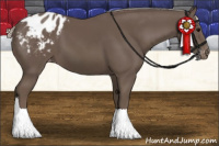Horse Color:Silver Black Blanket 