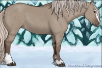 Horse Color:Silver Grullo Sabino 