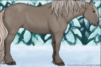 Horse Color:Silver Grullo 