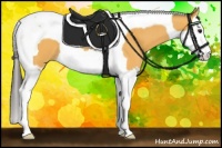 Horse Color:Buckskin Splash Tobiano