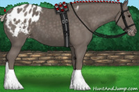 Horse Color:Silver Black Appaloosa 