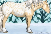 Horse Color:Silver Classic Cream Champagne Appaloosa