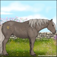 Horse Color:Silver Black 
