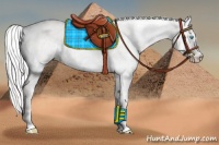Horse Color:Platinum White Spotted Cremello Dun 