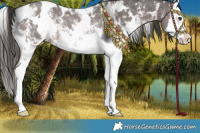 Horse Color:Platinum White Spotted Liver Chestnut Sabino Splash Rabicano 