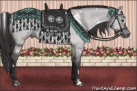 Horse Color:Platinum White Spotted Buckskin Roan Dun