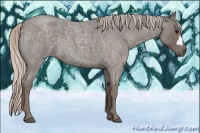 Horse Color:Silver Blue Roan 