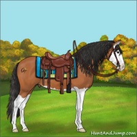 Horse Color:Bay Splash 