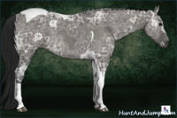 Horse Color:Gray Grullo Ice Tobiano Rabicano