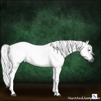 Horse Color:Gray Chestnut Chinchilla Tobiano 