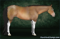Horse Color:Gray Amber Champagne Sabino Tobiano 
