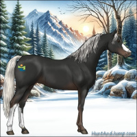 Horse Color:Liver Chestnut Mushroom