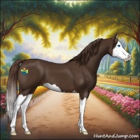 Horse Color:Liver Chestnut Splash 