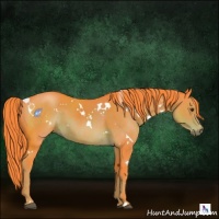 Horse Color:Watercolor White Spotted Liver Chestnut 