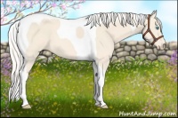 Horse Color:Cremello Tobiano 
