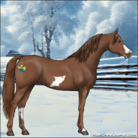 Horse Color:Chestnut Frame