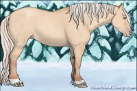 Horse Color:Silver Amber Champagne Dun