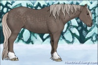 Horse Color:Silver Black 