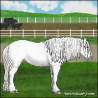 Horse Color:Gray Red Dun Tobiano Leopard