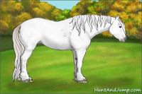 Horse Color:Gray Silver Black Tobiano Blanket 