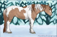 Horse Color:Chestnut Tobiano 