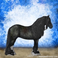 Horse Color:Black Ice 