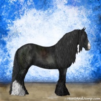 Horse Color:Black Ice 