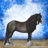 Horse Color:Smoky Black Sabino 