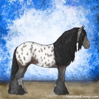 Horse Color:Brown Ice Sabino Blanket 
