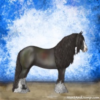 Horse Color:Smoky Black Sabino 