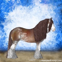 Horse Color:Chocolate Brown Sabino Rabicano