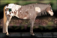 Horse Color:Buckskin Snowdrop Sabino Blanket  and Liver Red Roan Blanket 