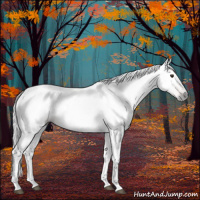 Horse Color:Gray Chestnut 