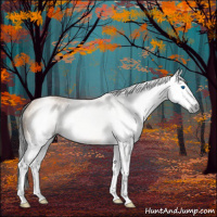 Horse Color:Gray Bay Dun Splash