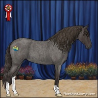 Horse Color:Smoky Blue Roan 