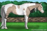 Horse Color:Brown Dun Splash Tobiano 