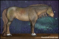 Horse Color:Chocolate Palomino Roan 