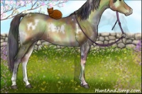 Horse Color:Nacre White Spotted Brown Onyx